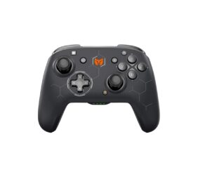 Nintendo Controller